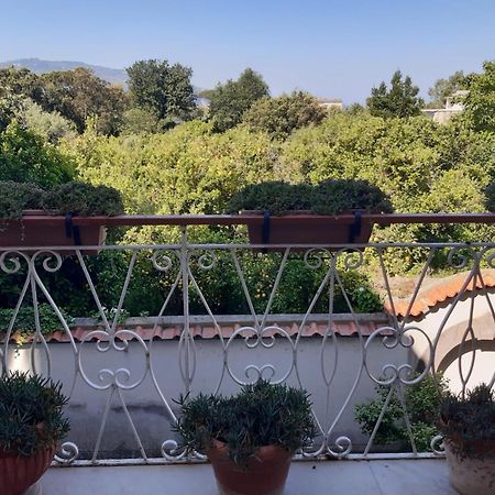 La Casa Di Rosa - Casa Vacanze Мета Екстериор снимка