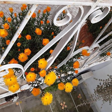 La Casa Di Rosa - Casa Vacanze Мета Екстериор снимка