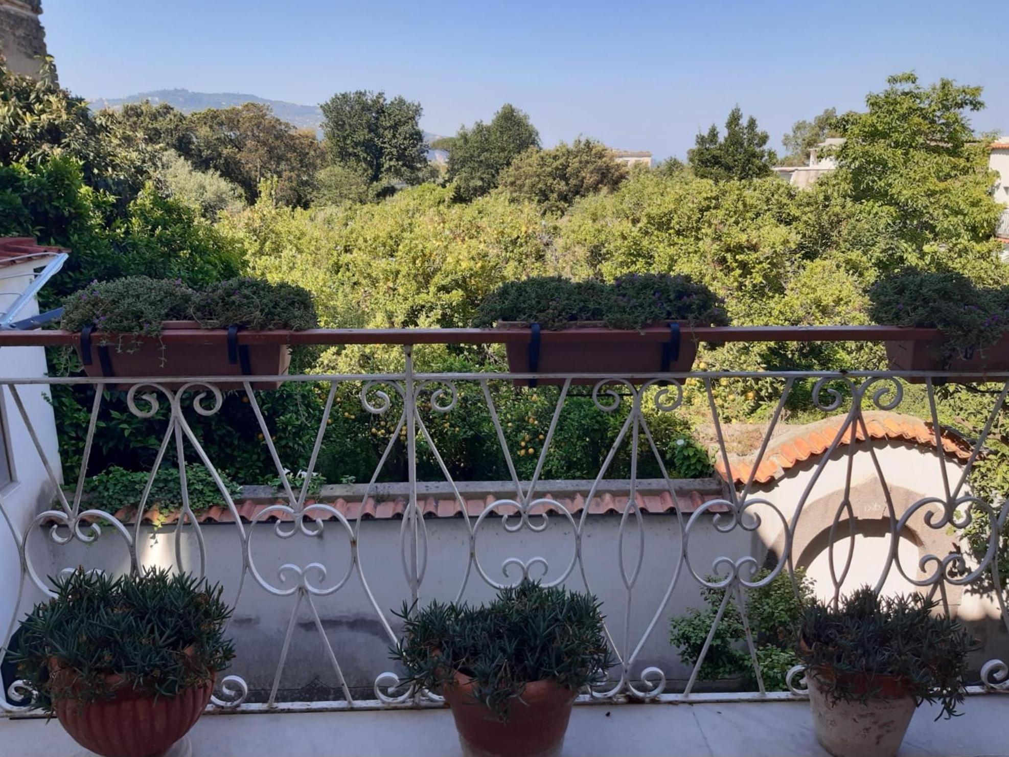 La Casa Di Rosa - Casa Vacanze Мета Екстериор снимка